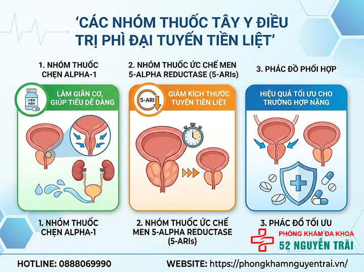 Phì đại tuyến tiền liệt uống thuốc gì? Giải đáp chi tiết 1 Các nhóm thuốc Tây y điều trị phì đại tuyến tiền liệt