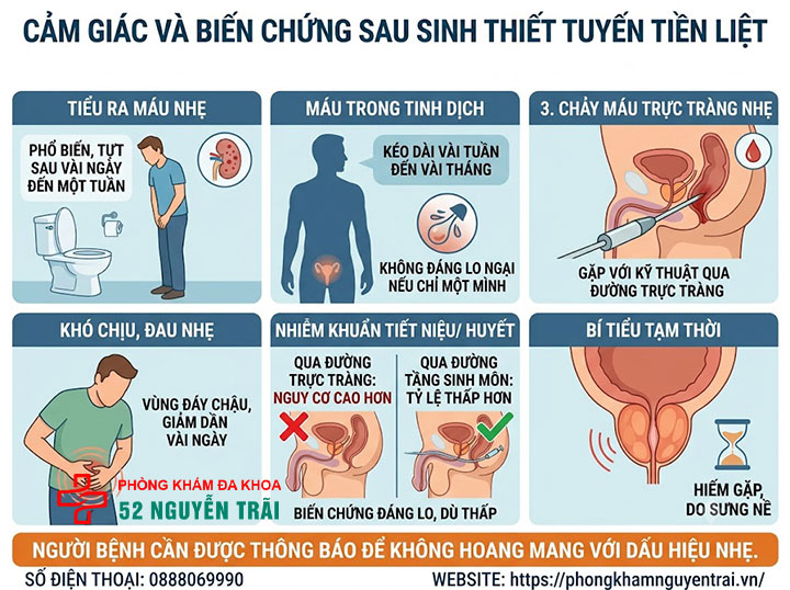 Sinh thiết tuyến tiền liệt có đau không? Giải đáp chi tiết 4 Cảm giác và biến chứng có thể gặp sau sinh thiết tuyến tiền liệt