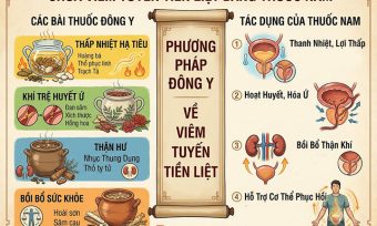 Chữa viêm tuyến tiền liệt bằng thuốc nam, đông y tại nhà: Có hiệu quả không?