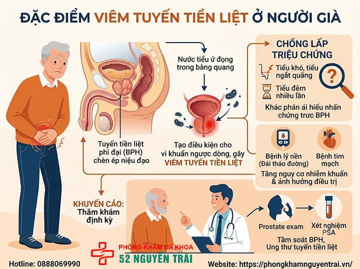 Viêm tuyến tiền liệt ở người trẻ, người già và trẻ em 2 Đặc điểm viêm tuyến tiền liệt ở người già