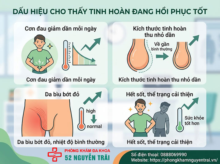 Viêm Tinh Hoàn Bao Lâu Thì Khỏi? Có Tự Khỏi Không? 5 Dấu Hiệu Cho Thấy Tinh Hoàn Đang Hồi Phục Tốt