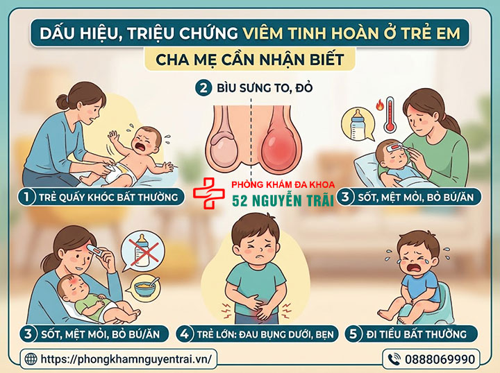 Viêm Tinh Hoàn Ở Trẻ Em Và Trẻ Sơ Sinh: Cha Mẹ Cần Biết 4 Dấu Hiệu, Triệu Chứng Viêm Tinh Hoàn Ở Trẻ Em Cha Mẹ Cần Nhận Biết