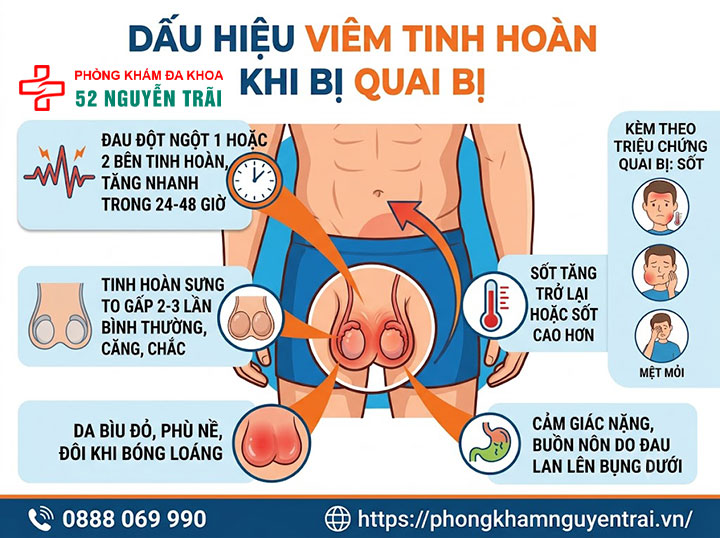 Viêm Tinh Hoàn Do Quai Bị: Triệu Chứng Và Cách Điều Trị 3 Dấu Hiệu Viêm Tinh Hoàn Khi Bị Quai Bị