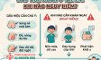 Đau Tinh Hoàn Ở Trẻ Em: Khi Nào Nguy Hiểm, Cha Mẹ Cần Biết
