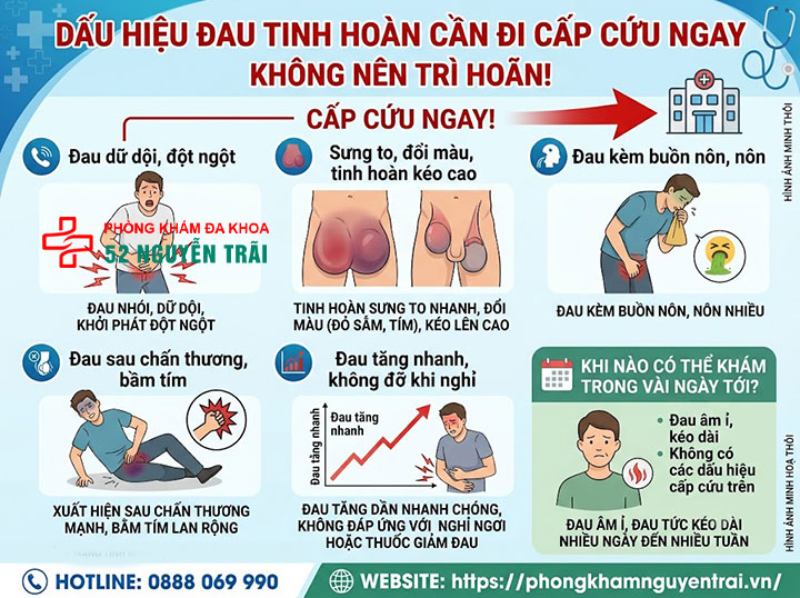Triệu Chứng Đau Tinh Hoàn: Dấu Hiệu Cần Biết 4 Dấu hiệu đau tinh hoàn cần đi cấp cứu ngay, không nên trì hoãn