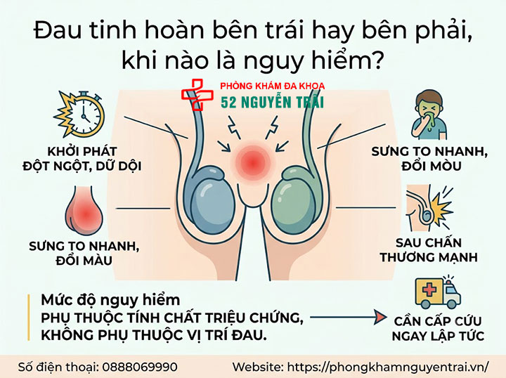 Nguyên Nhân Đau Tinh Hoàn Bên Trái Và Bên Phải 6 Đau tinh hoàn bên trái hay bên phải, khi nào là nguy hiểm?