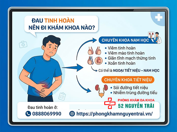 Đau Tinh Hoàn Khám Ở Đâu? Khoa Nào Uy Tín Nhất? 1 Đau tinh hoàn nên đi khám khoa nào?