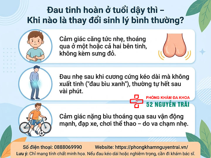Đau Tinh Hoàn Ở Trẻ Em: Khi Nào Nguy Hiểm, Cha Mẹ Cần Biết 5 Đau tinh hoàn ở tuổi dậy thì – khi nào là thay đổi sinh lý bình thường?