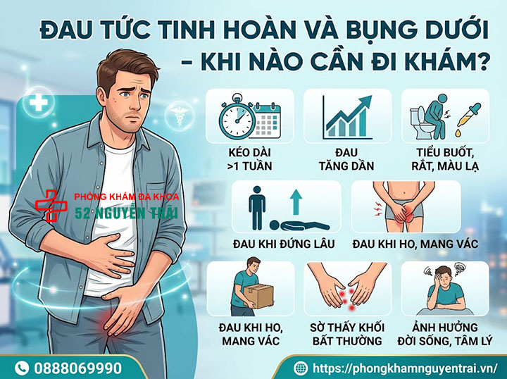 Đau Tức Tinh Hoàn Nhưng Không Sưng: Nguyên Nhân Là Gì? 4 Đau tức tinh hoàn và bụng dưới – khi nào cần đi khám?