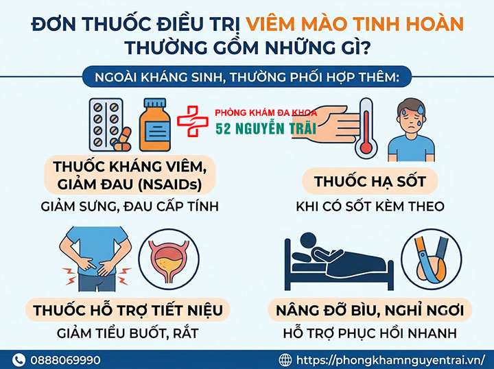 Viêm Mào Tinh Hoàn Uống Thuốc Gì? Phác Đồ Chuẩn 4 Đơn Thuốc Điều Trị Viêm Mào Tinh Hoàn Thường Gồm Những Gì?