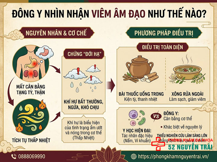 Chữa Viêm Âm Đạo Bằng Dân Gian, Đông Y: Có Hiệu Quả? 2 Đông y nhìn nhận viêm âm đạo như thế nào?