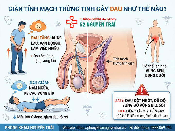 Dấu Hiệu Giãn Tĩnh Mạch Thừng Tinh Cần Nhận Biết Sớm 3 Giãn tĩnh mạch thừng tinh gây đau như thế nào?