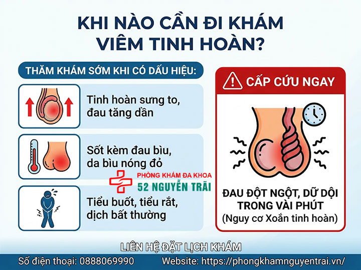 Viêm Tinh Hoàn Khám Ở Đâu? Chi Phí Khám Chữa Bao Nhiêu? 1 Khi Nào Cần Đi Khám Viêm Tinh Hoàn?