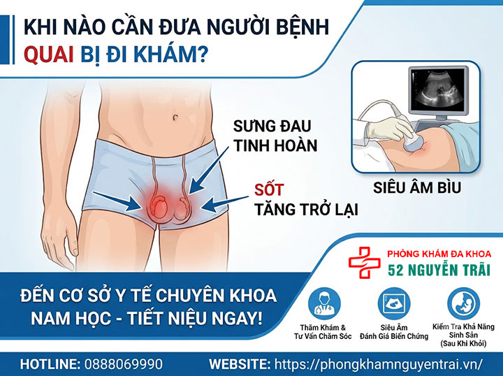 Viêm Tinh Hoàn Do Quai Bị: Triệu Chứng Và Cách Điều Trị 8 Khi Nào Cần Đưa Người Bệnh Đi Khám?