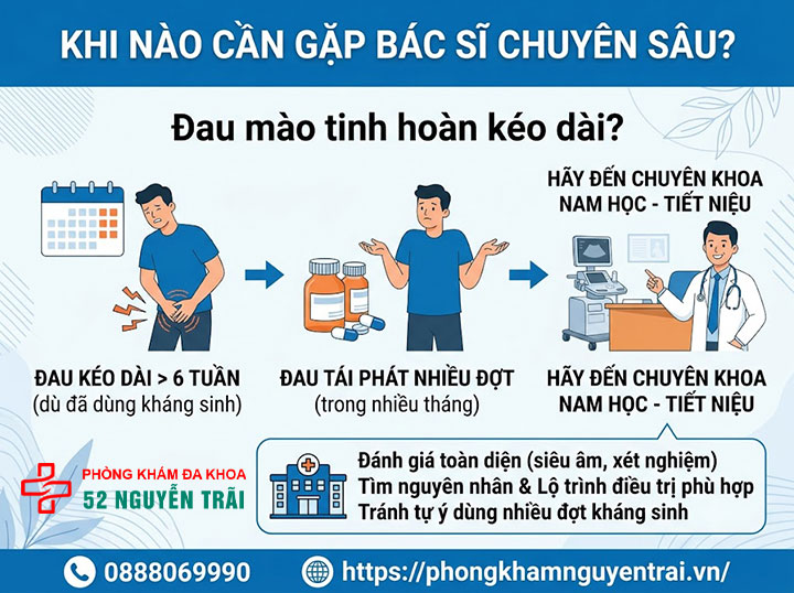 Viêm Mào Tinh Hoàn Mãn Tính Có Chữa Được Không? 9 Khi Nào Cần Gặp Bác Sĩ Chuyên Sâu?