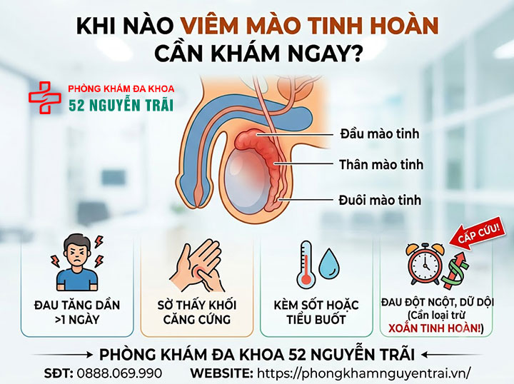 Triệu Chứng Viêm Mào Tinh Hoàn Trái, Phải Cần Biết 9 Khi Nào Triệu Chứng Viêm Mào Tinh Hoàn Cần Được Thăm Khám Ngay?