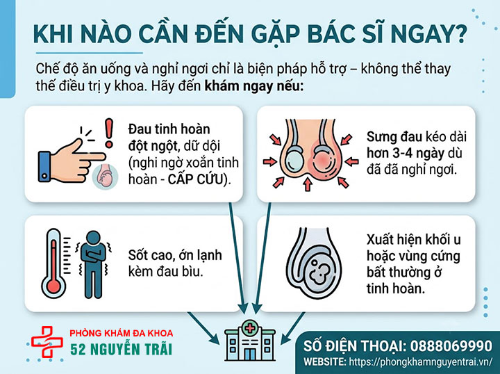 Đau tinh hoàn nên ăn gì, kiêng gì để hồi phục nhanh? 5 Khi nào cần đến gặp bác sĩ ngay?