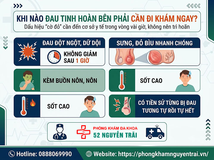 Đau Tinh Hoàn Bên Phải: Nguyên Nhân & Cách Điều Trị 6 Khi nào đau tinh hoàn bên phải cần đi khám ngay?