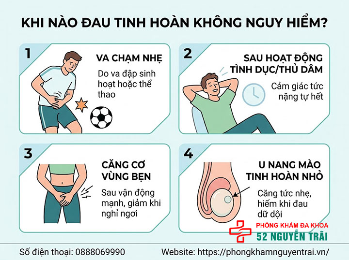 Đau Tinh Hoàn Có Nguy Hiểm Không? Dấu Hiệu Cấp Cứu 1 Khi nào đau tinh hoàn không nguy hiểm?