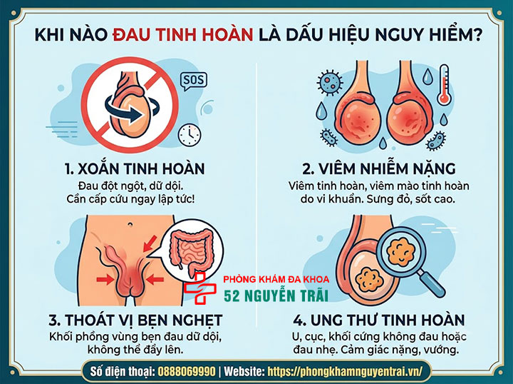 Đau Tinh Hoàn Có Nguy Hiểm Không? Dấu Hiệu Cấp Cứu 2 Khi nào đau tinh hoàn là dấu hiệu nguy hiểm?