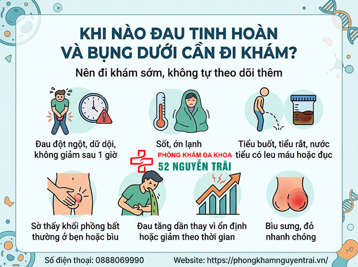 Đau Tinh Hoàn Và Bụng Dưới: Liên Hệ Và Cách Xử Lý 6 Khi nào đau tinh hoàn và bụng dưới cần đi khám?