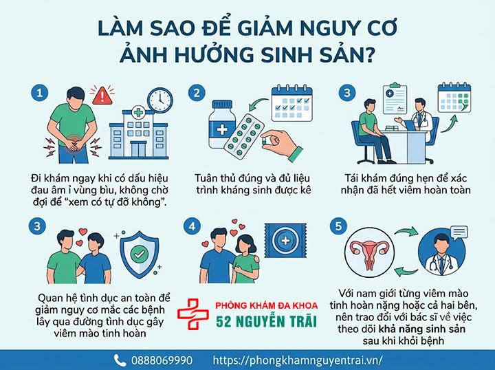 Viêm Mào Tinh Hoàn Có Nguy Hiểm Không? Biến Chứng Gì? 7 Làm Sao Để Giảm Nguy Cơ Ảnh Hưởng Sinh Sản?