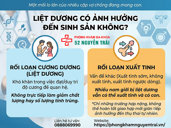 Liệt Dương Có Chữa Được Không? Cơ Hội Hồi Phục Ra Sao 4 Liệt dương có ảnh hưởng đến sinh sản không?