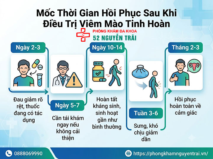 Viêm Mào Tinh Hoàn Bao Lâu Thì Khỏi? Thời Gian Điều Trị 3 Mốc Thời Gian Hồi Phục Cụ Thể Sau Khi Bắt Đầu Điều Trị Viêm Mào Tinh Hoàn
