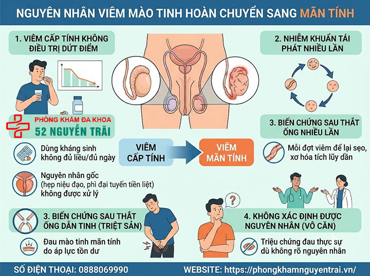 Viêm Mào Tinh Hoàn Mãn Tính Có Chữa Được Không? 2 Nguyên Nhân Viêm Mào Tinh Hoàn Chuyển Sang Mãn Tính