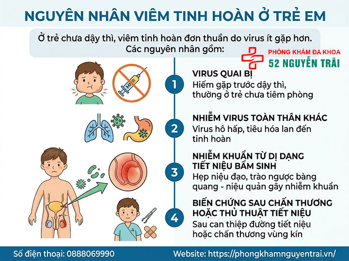 Viêm Tinh Hoàn Ở Trẻ Em Và Trẻ Sơ Sinh: Cha Mẹ Cần Biết 2 Nguyên Nhân Viêm Tinh Hoàn Ở Trẻ Em