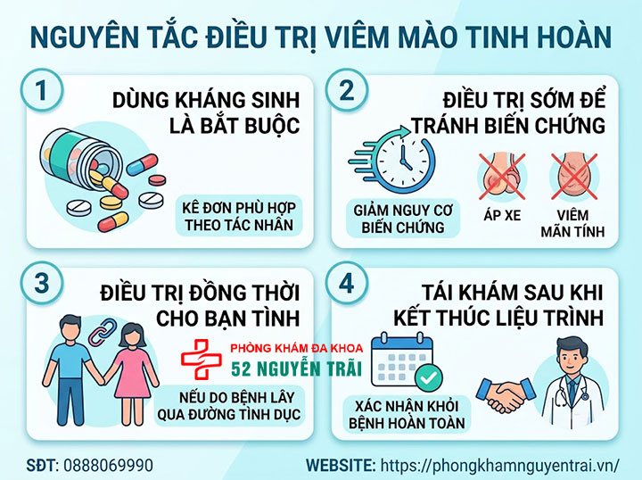 Viêm Mào Tinh Hoàn Uống Thuốc Gì? Phác Đồ Chuẩn 1 Nguyên Tắc Điều Trị Viêm Mào Tinh Hoàn
