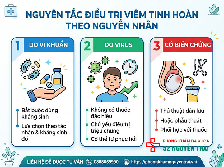 Viêm Tinh Hoàn Uống Thuốc Gì? Phác Đồ Điều Trị Chuẩn 2 Nguyên Tắc Điều Trị Viêm Tinh Hoàn Theo Nguyên Nhân