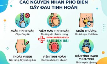 Nguyên Nhân Đau Tinh Hoàn Bên Trái Và Bên Phải