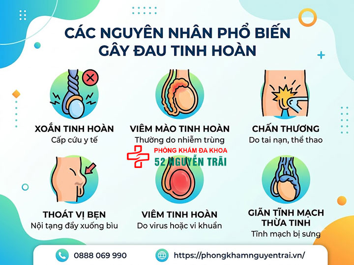Nguyên Nhân Đau Tinh Hoàn Bên Trái Và Bên Phải 1 Nguyên nhân đau tinh hoàn chung, có thể gặp ở cả hai bên