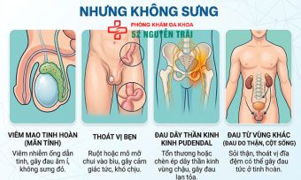 Đau Tức Tinh Hoàn Nhưng Không Sưng: Nguyên Nhân Là Gì?