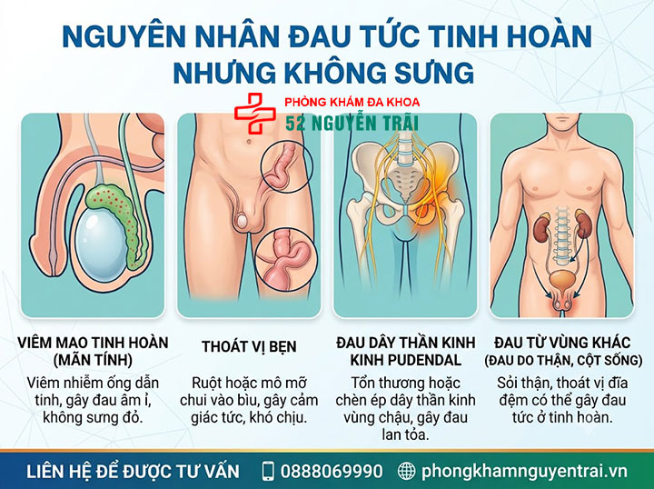 Đau Tức Tinh Hoàn Nhưng Không Sưng: Nguyên Nhân Là Gì? 3 Nguyên nhân đau tức tinh hoàn nhưng không sưng