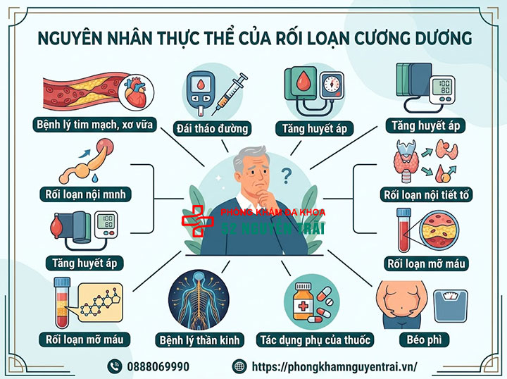 Nguyên nhân rối loạn cương dương ở nam giới 1 Nguyên nhân thực thể rối loạn cương dương