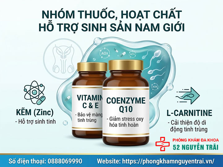 Thuốc Điều Trị Giãn Tĩnh Mạch Thừng Tinh – Loại Nào Tốt? 3 Nhóm thuốc, hoạt chất hỗ trợ sinh sản