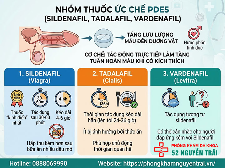 Thuốc Chữa Liệt Dương – Tổng Hợp Tây Y, Nam Y, Đông Y 1 Nhóm thuốc ức chế PDE5: Sildenafil, Tadalafil, Vardenafil