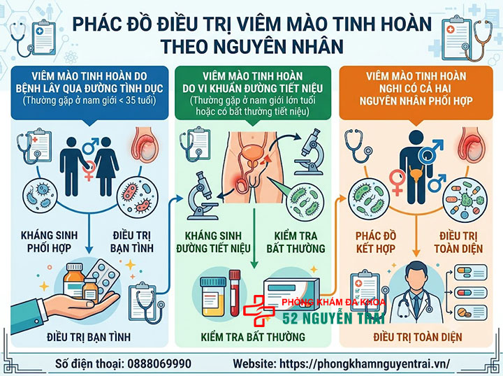 Viêm Mào Tinh Hoàn Uống Thuốc Gì? Phác Đồ Chuẩn 2 Phác Đồ Điều Trị Viêm Mào Tinh Hoàn Theo Nguyên Nhân