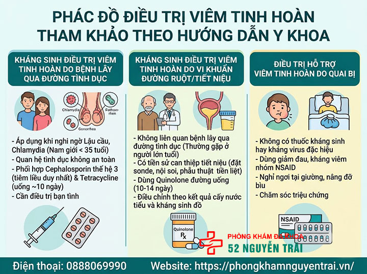 Viêm Tinh Hoàn Uống Thuốc Gì? Phác Đồ Điều Trị Chuẩn 3 Phác Đồ Điều Trị Viêm Tinh Hoàn Tham Khảo Theo Hướng Dẫn Y Khoa