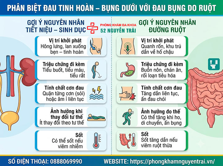 Đau Tinh Hoàn Và Bụng Dưới: Liên Hệ Và Cách Xử Lý 5 Phân biệt đau tinh hoàn – bụng dưới với đau bụng do ruột