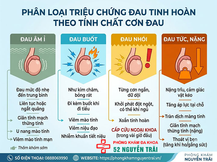Triệu Chứng Đau Tinh Hoàn: Dấu Hiệu Cần Biết 2 Phân loại triệu chứng đau tinh hoàn theo tính chất cơn đau