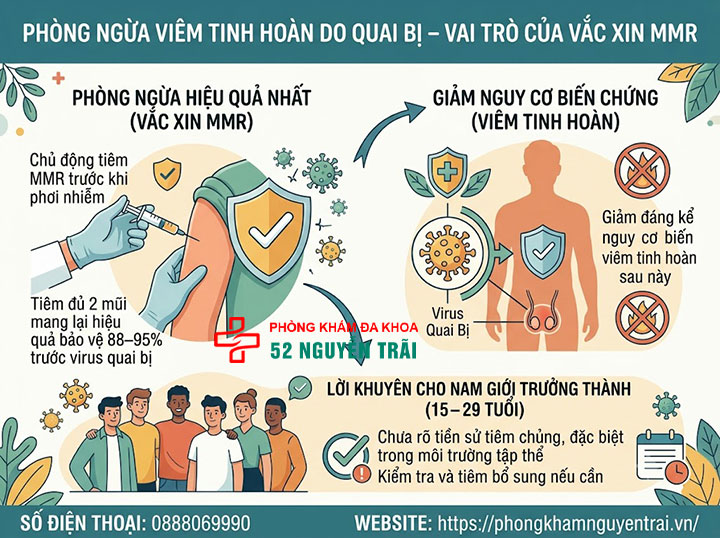 Viêm Tinh Hoàn Do Quai Bị: Triệu Chứng Và Cách Điều Trị 7 Phòng Ngừa Viêm Tinh Hoàn Do Quai Bị – Vai Trò Của Vắc Xin MMR