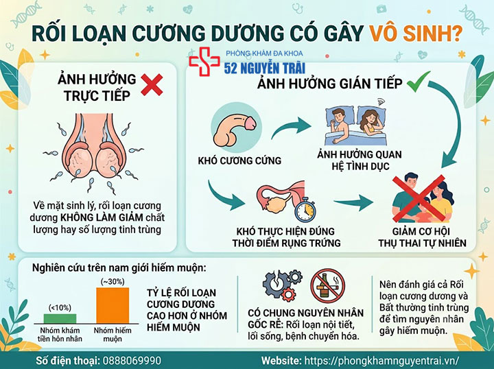 Rối Loạn Cương Dương Có Nguy Hiểm Không? Biến Chứng Cần Biết 5 Rối loạn cương dương có gây vô sinh, ảnh hưởng sinh sản?