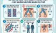 Nguyên Nhân Giãn Tĩnh Mạch Thừng Tinh Ở Nam Giới