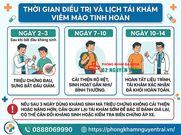 Viêm Mào Tinh Hoàn Uống Thuốc Gì? Phác Đồ Chuẩn 6 Thời Gian Điều Trị Và Lịch Tái Khám Viêm Mào Tinh Hoàn