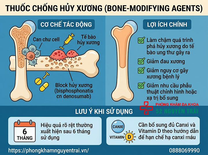 Giảm đau cho bệnh nhân ung thư tuyến tiền liệt di căn xương 5 Thuốc chống hủy xương (Bone-modifying agents)