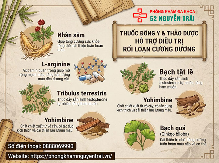 Thuốc điều trị rối loạn cương dương tốt nhất hiện nay 3 Thuốc đông y, thảo dược hỗ trợ rối loạn cương dương