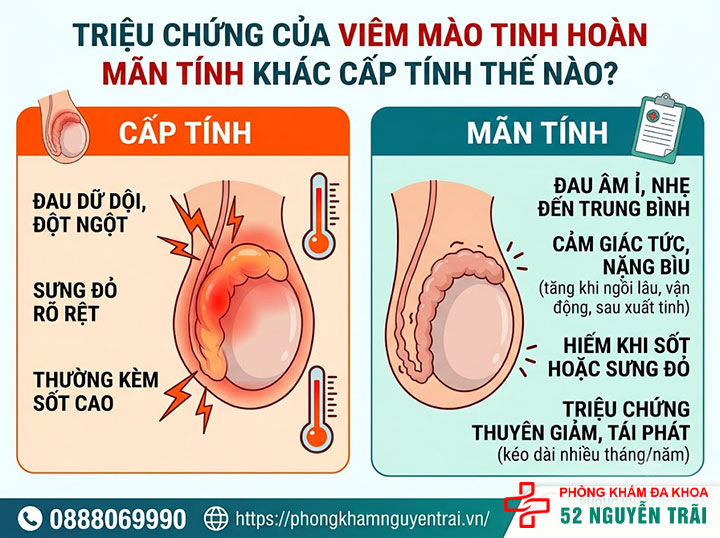 Viêm Mào Tinh Hoàn Mãn Tính Có Chữa Được Không? 3 Triệu Chứng Của Viêm Mào Tinh Hoàn Mãn Tính Khác Cấp Tính Thế Nào?